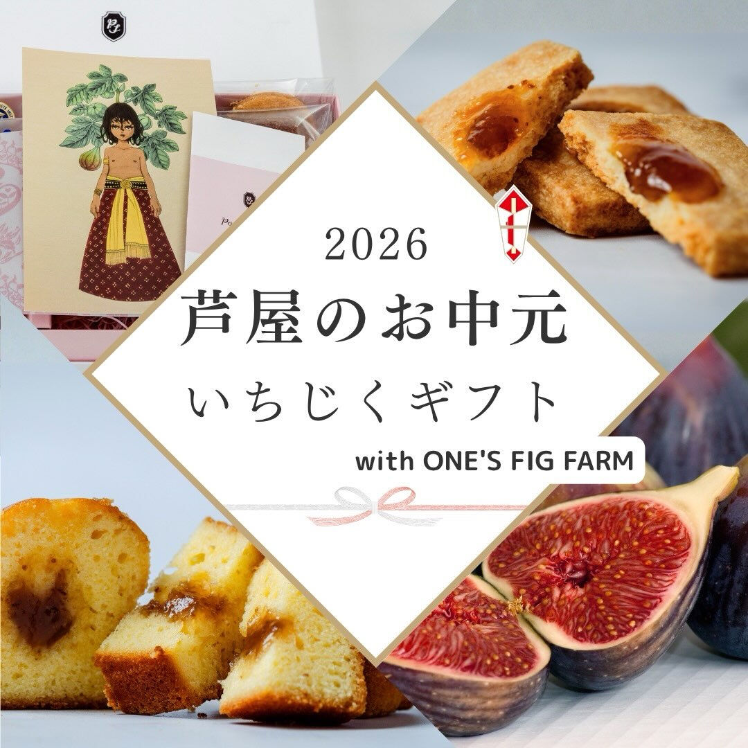 2026お中元　この夏は「いちじく」づくしです！！